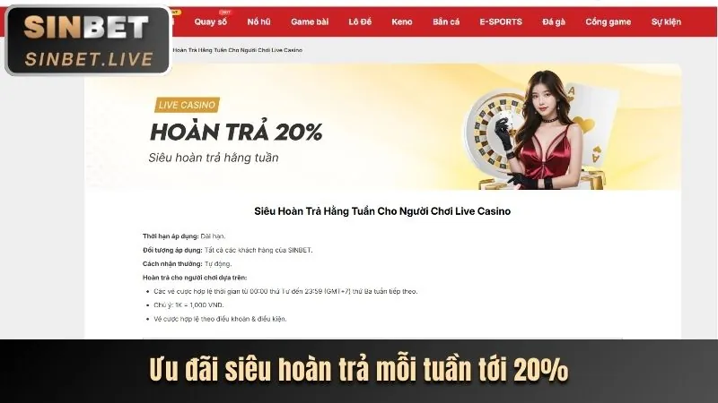Hình ảnh hoàn trả cược thể thao hàng tuần tại WS168